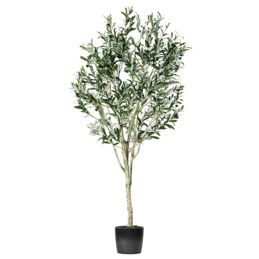 Vickerman 72" Artificial Green Olive Tree in Black Planters Pot.