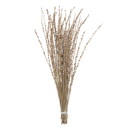 Vickerman 36-38" Natural Deglet Nour Branch Bundle