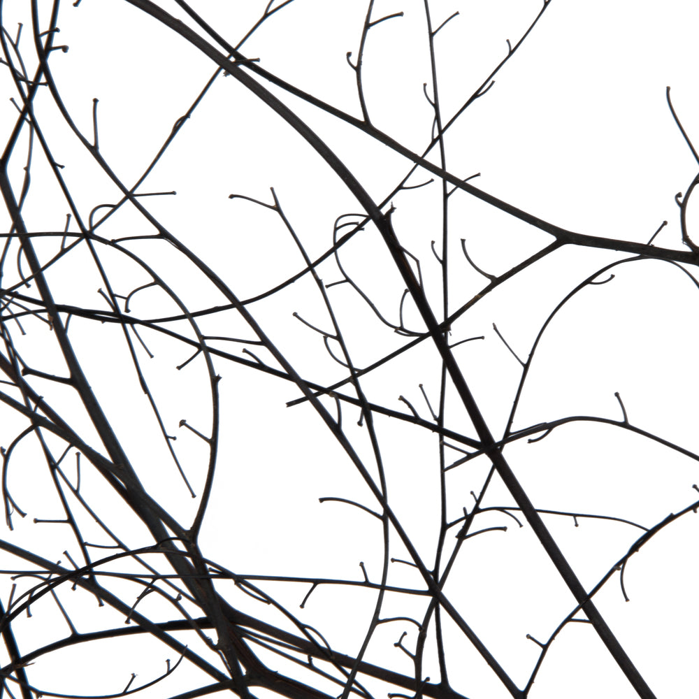 Vickerman 18-20" Natural Brown Skeleton Branch 3 packs (2 per pack) Dried