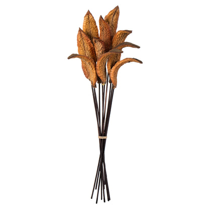 Vickerman 18-22" Natural Estrella 10 stems Dried