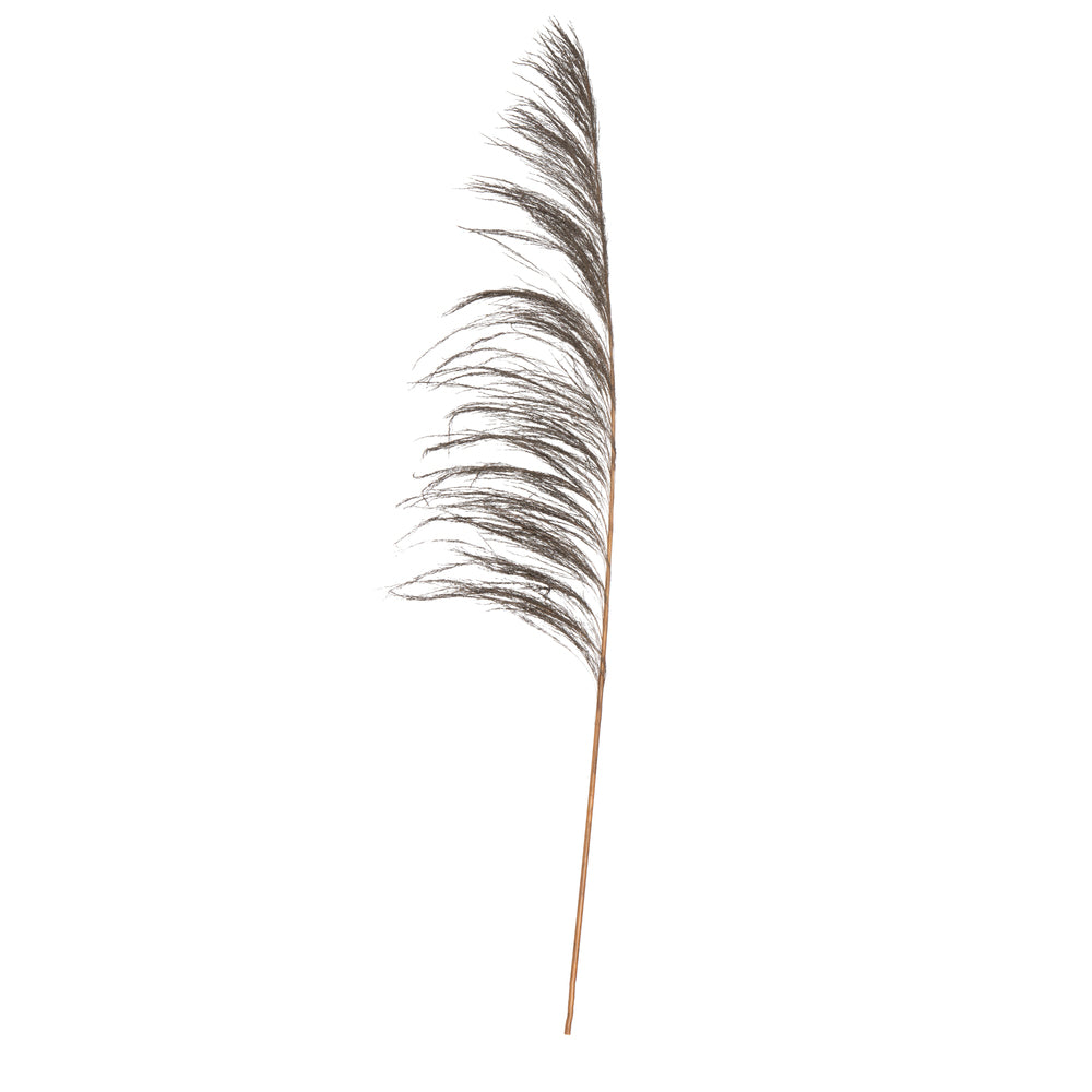 Vickerman 60-72" Mocha Uva Palm Spray standing between 60 to 72 inches tall. Pack of 10.
