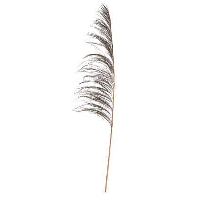 Vickerman 60-72" Mocha Uva Palm Spray standing between 60 to 72 inches tall. Pack of 10.