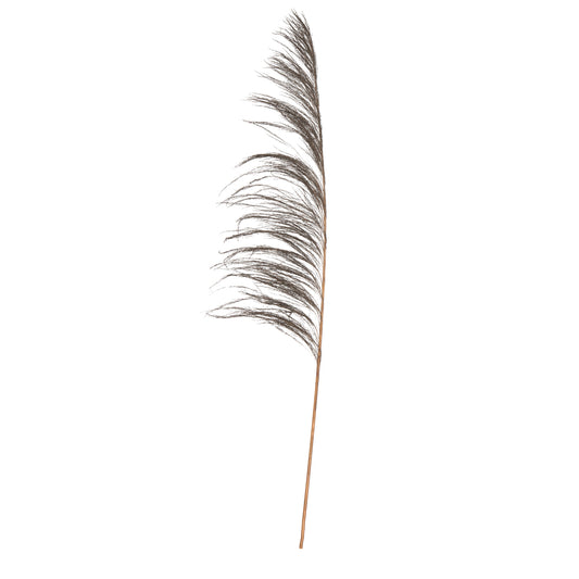 Vickerman 60-72" Mocha Uva Palm Spray standing between 60 to 72 inches tall. Pack of 10.