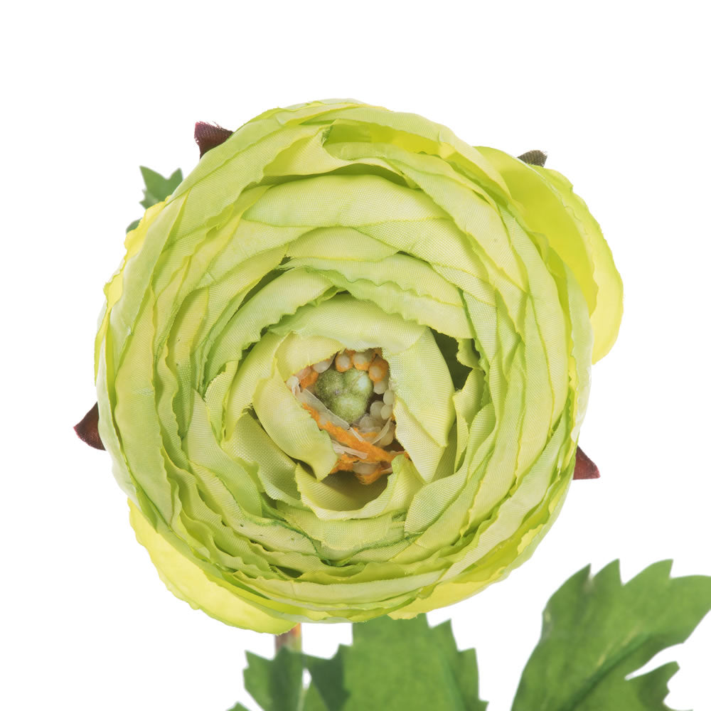 Vickerman 23" Artificial Green Ranunculus Stem Set of 4