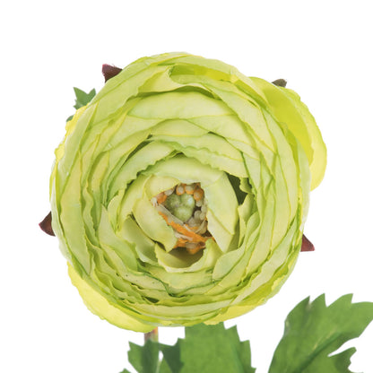Vickerman 23" Artificial Green Ranunculus Stem Set of 4
