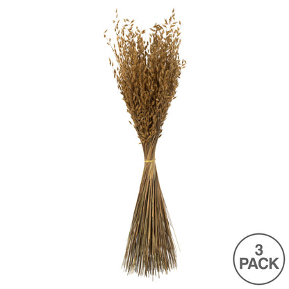 Vickerman 30" Natural Princess Grass 3 per pack Dried