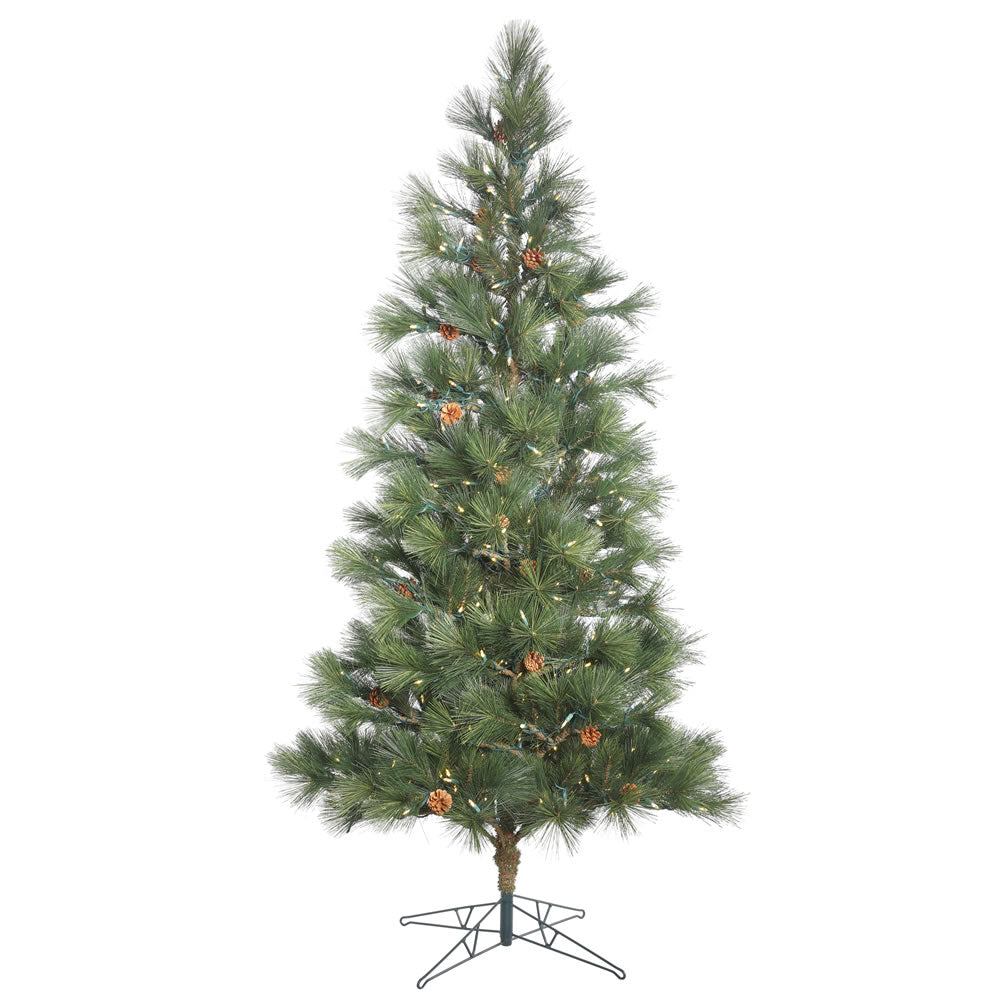 Vickerman 10.5' Redmond Spruce Artificial Christmas Tree with 1000 Warm White LED Lights