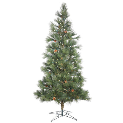 Vickerman 10.5' Redmond Spruce Artificial Christmas Tree with 1000 Warm White LED Lights