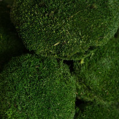 Vickerman Natural Botanicals 1  lb. Apple Green Pole Moss.