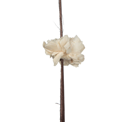 Vickerman Natural Botanicals 40" Brown Coco with Natural Dried Sola Zinnia- 24 sticks/polybag.