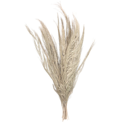 Vickerman Natural Botanicals 40" Khejur Sikha. Includes 30 pieces per Pack.