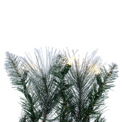 Vickerman 30" Flocked Jackson Pine Artificial Pre-Lit Wreath with Warm White Lights and 165 PVC Tips