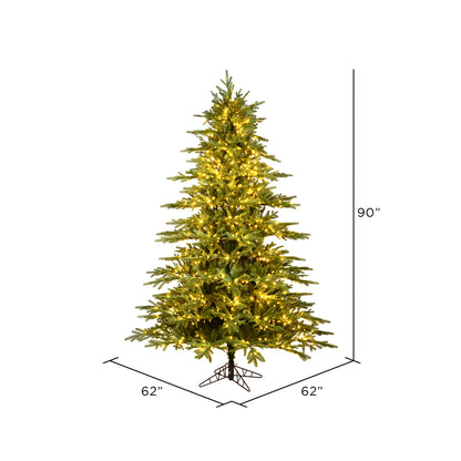 Vickerman 7.5' x 62" Kamas Fraser Fir Tree 1550 Warm White Low Voltage 3MM LED Lights.