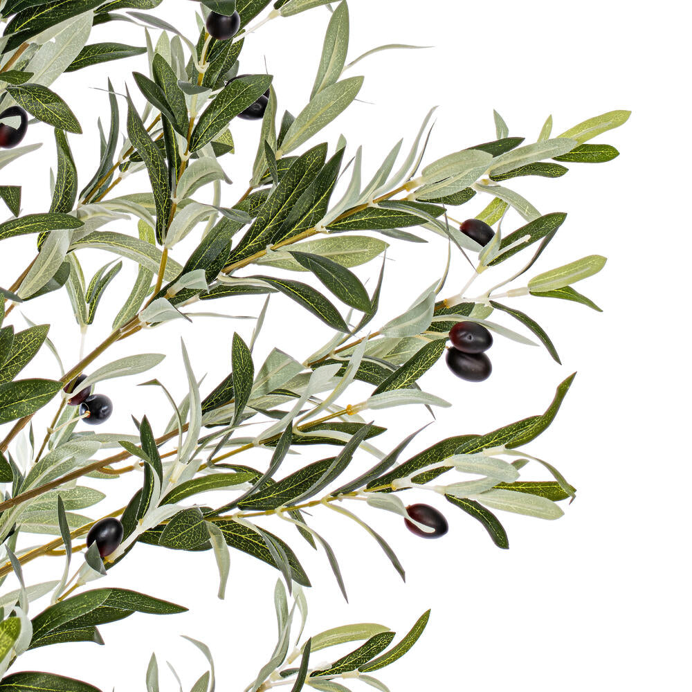 Vickerman 60" Artificial Green Olive Tree in Black Planters Pot.