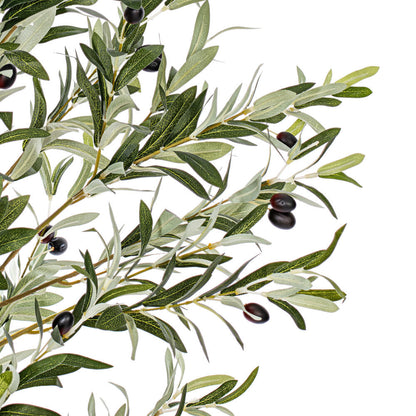 Vickerman 60" Artificial Green Olive Tree in Black Planters Pot.