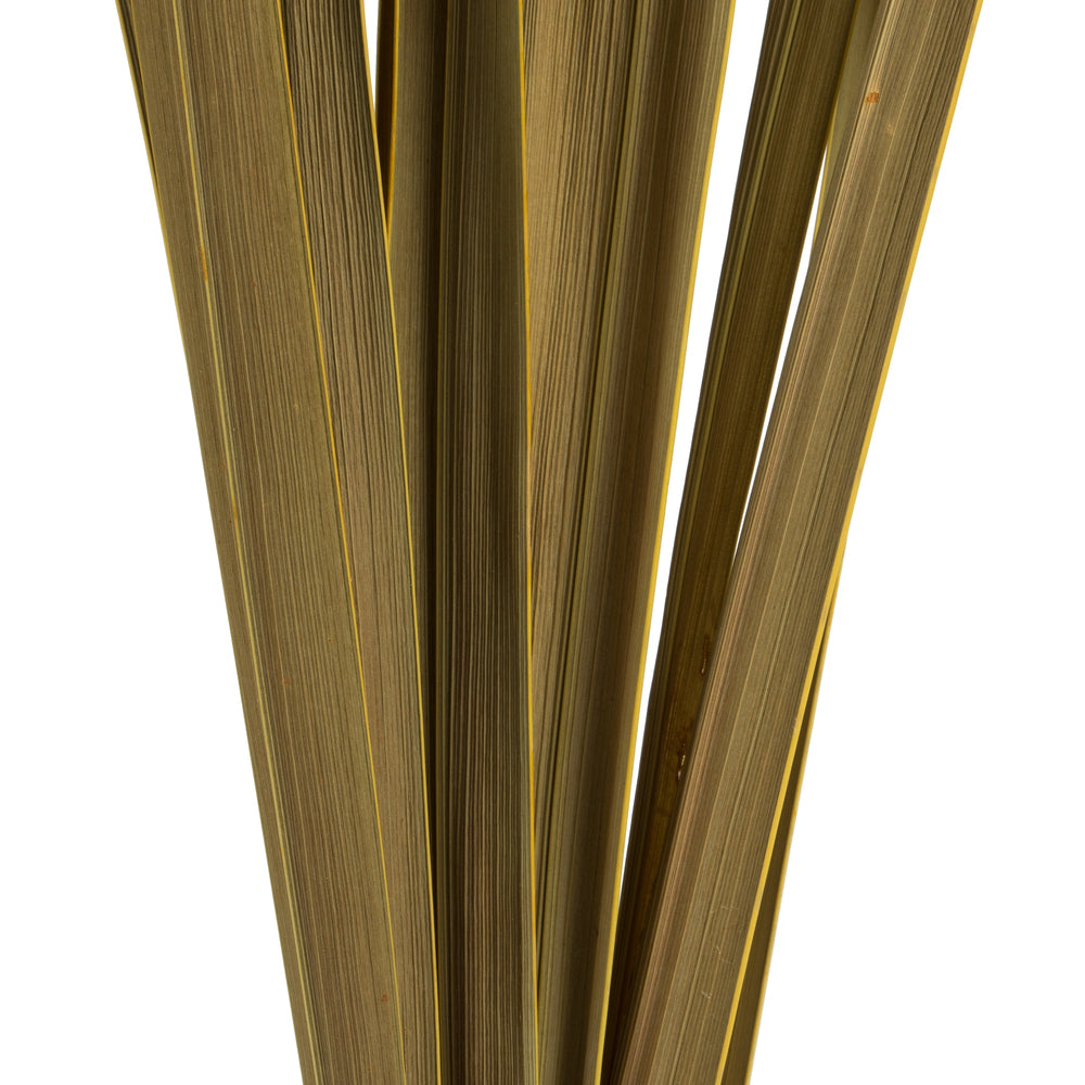 Vickerman 18-30" Natural Snake Grass. Includes 36 Stems (3 - 12 Stem Bundles) Dried