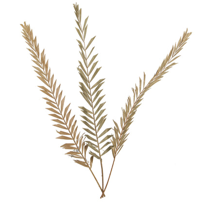 Vickerman Natural Botanicals 27" Rahul Stick Natural 8 Stems/Bunch. Includes eight rahul sticks.