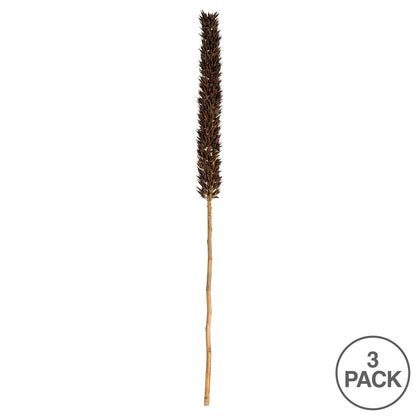 Vickerman 42-46" Natural Brown Cierus Stem. Includes 3 Stems Dried