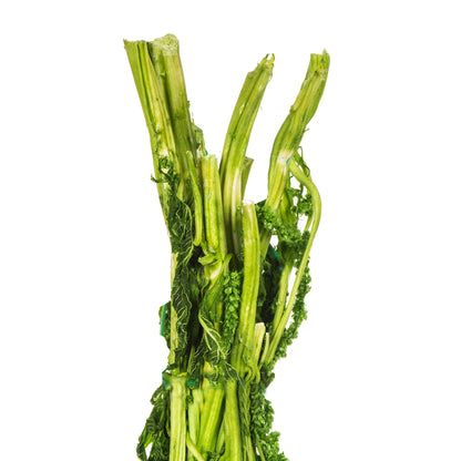 Vickerman 30" Spring Green Amaranthus Bundle Preserved