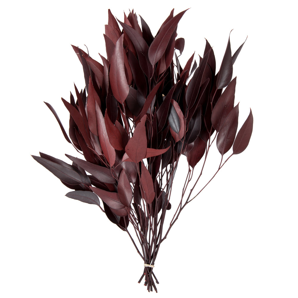 Vickerman 18" Red Weeping Willow Eucalyptus Foliage 5 oz Bundle Preserved