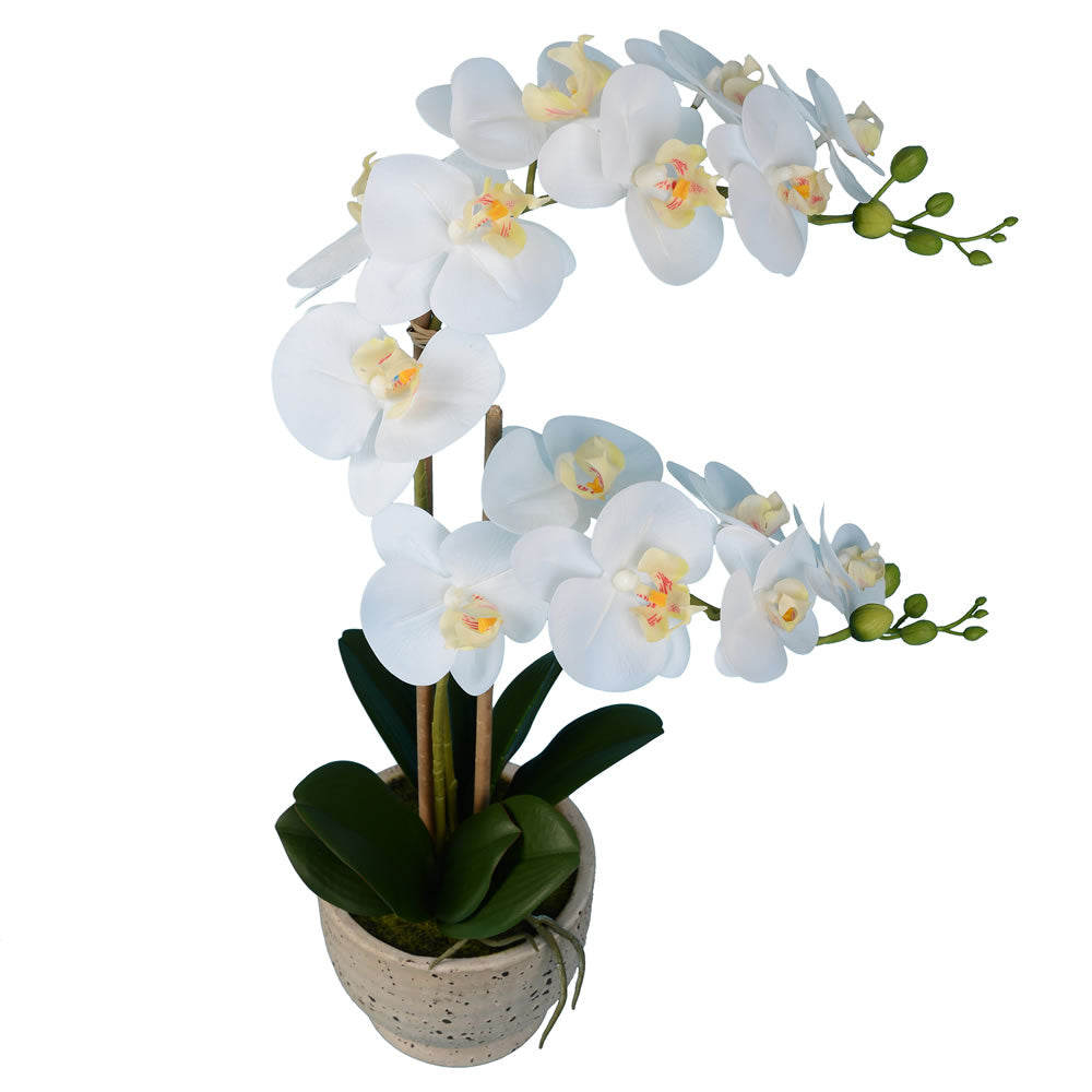 Vickerman 24.5" Artificial White Phalaenopsis In Cement Pot.
