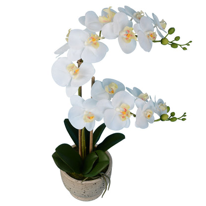 Vickerman 24.5" Artificial White Phalaenopsis In Cement Pot.