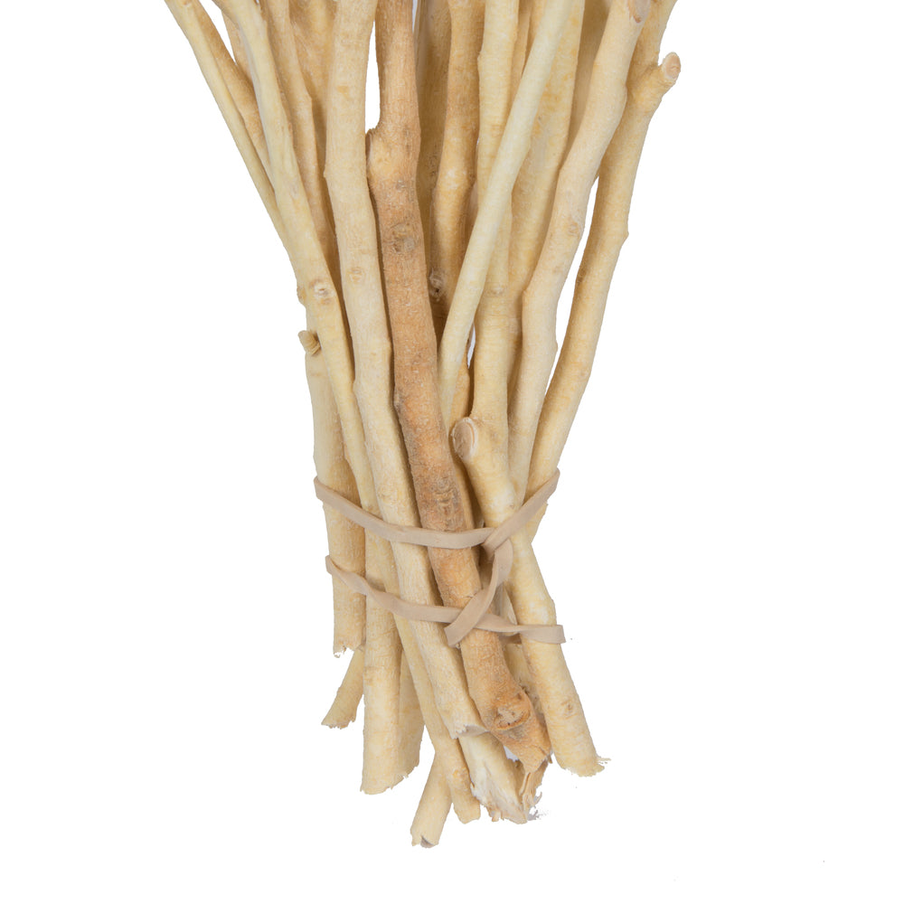 Vickerman Natural Botanicals 14" x 1-3" Bleached Ambernut Branch