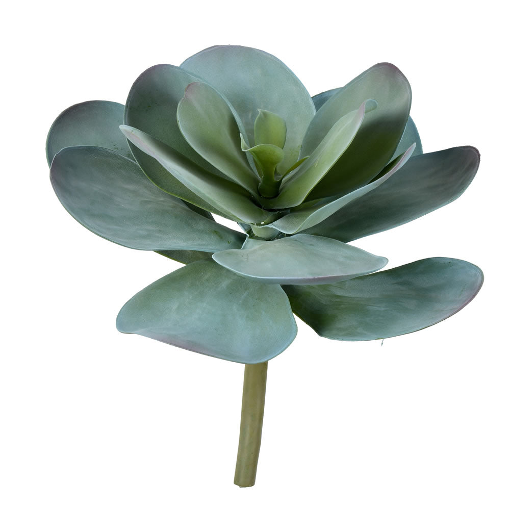 Vickerman 12" Artificial Giant Blue Kalanchoe Stem.