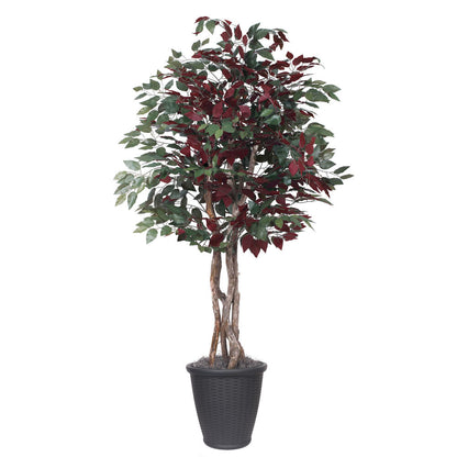 Vickerman 6' Artificial Capensia Executive Tree Gray Round Plastic Container.