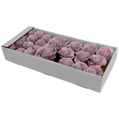 Vickerman 2"- 6" Pink White Sola Rose Assorted 23 per Window Box Dried