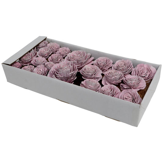 Vickerman 2"- 6" Pink White Sola Rose Assorted 23 per Window Box Dried