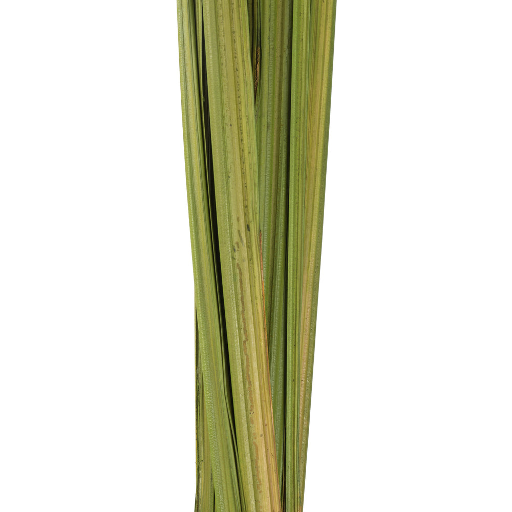 Vickerman 72" Foliage Green Sable Grass XL 16 oz Bundle Dried