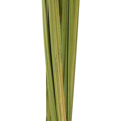 Vickerman 72" Foliage Green Sable Grass XL 16 oz Bundle Dried