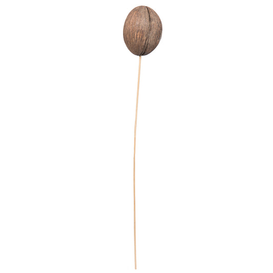 Vickerman Natural Botanicals 20" Mintola Ball on Stem. Includes 25 Stems per Pack.