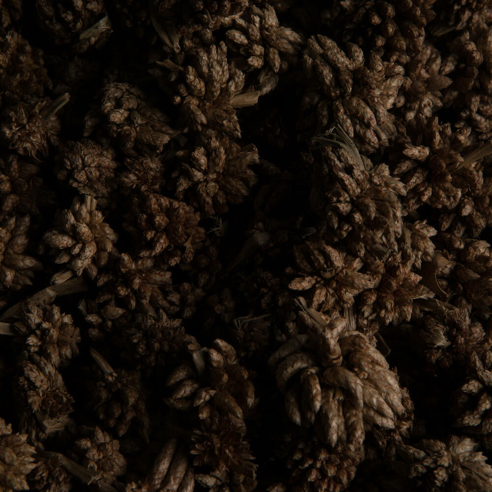Vickerman Natural Botanicals 0.8" Star Flower Natural. Includes 2 kilograms of product per unit.