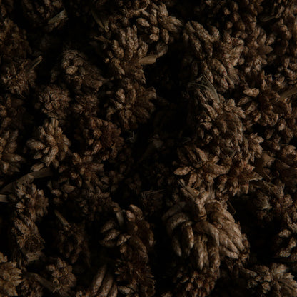Vickerman Natural Botanicals 0.8" Star Flower Natural. Includes 2 kilograms of product per unit.