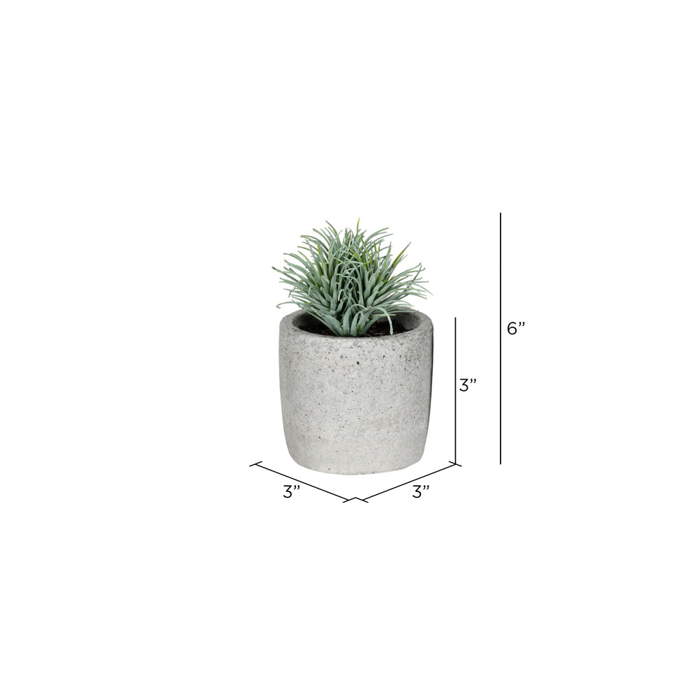 Vickerman 6" Artificial Assorted Potted Succulents Set of 4.