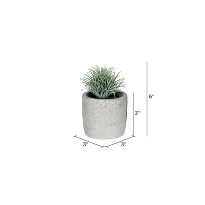 Vickerman 6" Artificial Assorted Potted Succulents Set of 4.