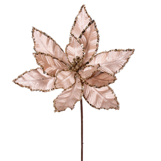 Vickerman 24" Champagne Velvet Sequin Trim Poinsettia 3 per bag.