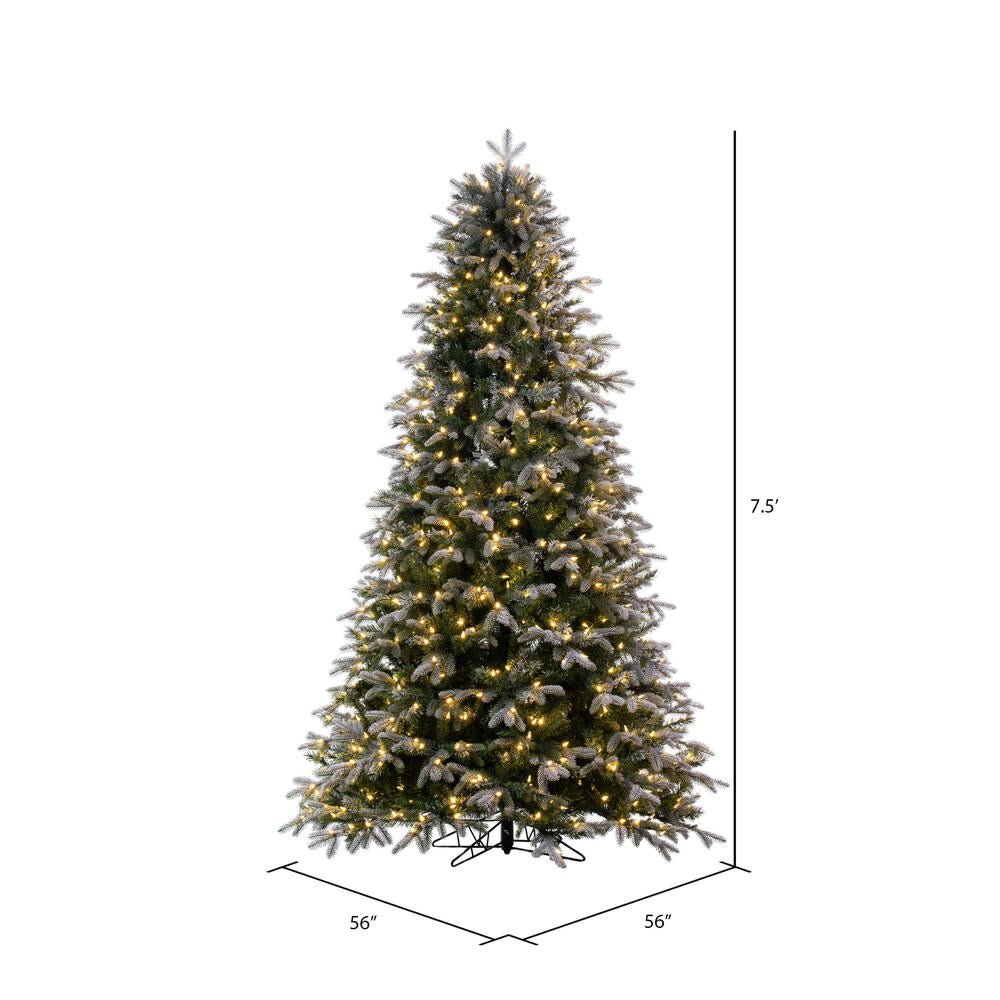 Vickerman 7.5' x 56" Frosted Douglas Fir Artificial Christmas Tree with Warm White LED Lights.