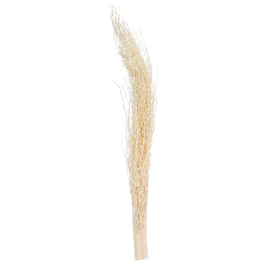 Vickerman Natural Botanicals 8"-12" Khejur Jhar Bleached. Includes 25 pieces per Pack.