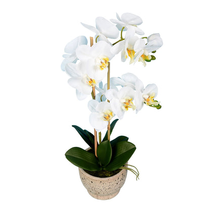 Vickerman 23" Artificial White Phalaenopsis In Pot.