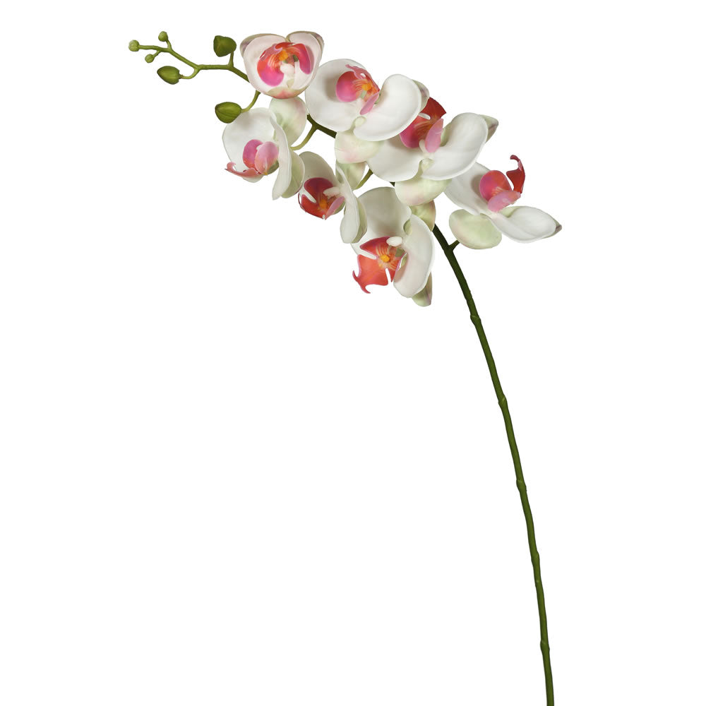 Vickerman 35" White Real Touch Orchid Artificial Floral Stem