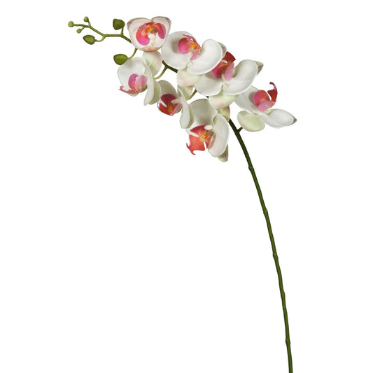 Vickerman 35" White Real Touch Orchid Artificial Floral Stem