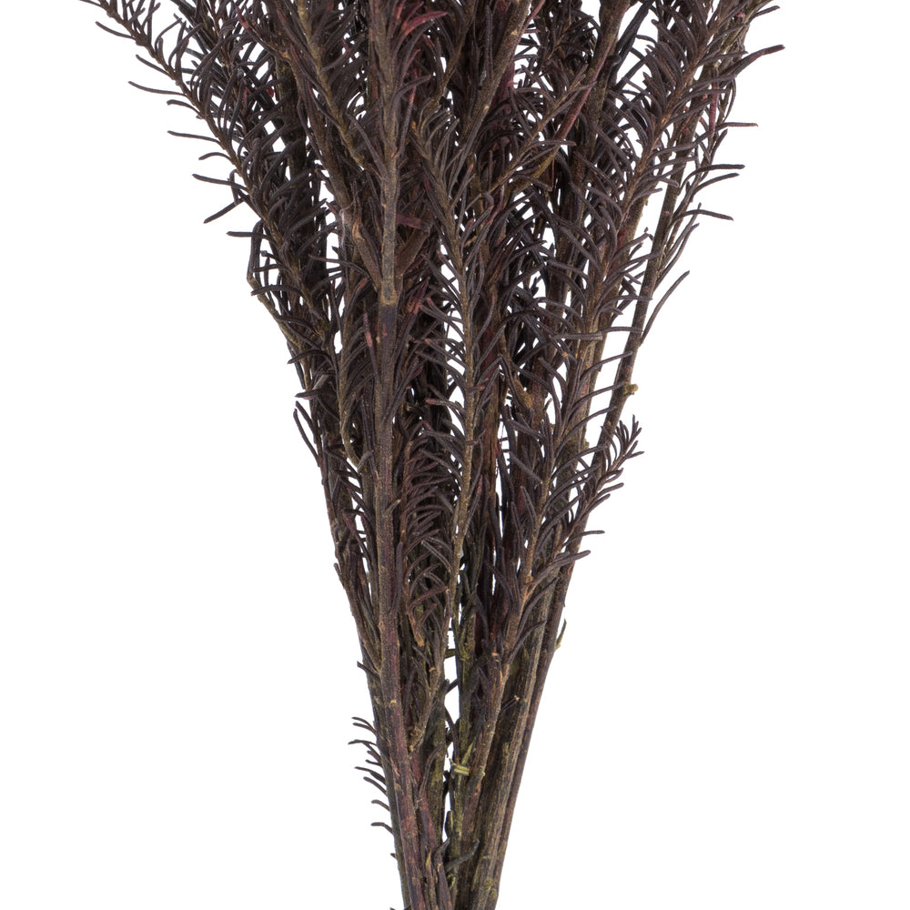 Vickerman 16" Wild Berry Rice Flower . Comes in a 4.25 oz Bundle. Preserved