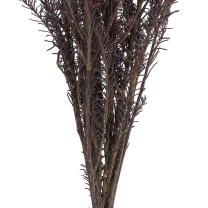 Vickerman 16" Wild Berry Rice Flower . Comes in a 4.25 oz Bundle. Preserved
