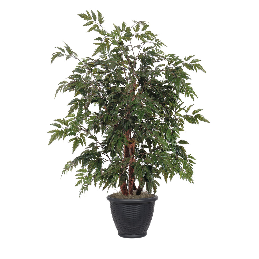 Vickerman 4' Artificial Ming Aralia Bush Brown Plastic Container.