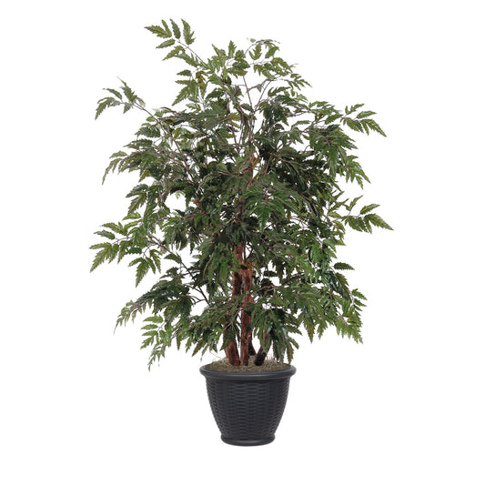 Vickerman 4' Artificial Ming Aralia Bush Brown Plastic Container.