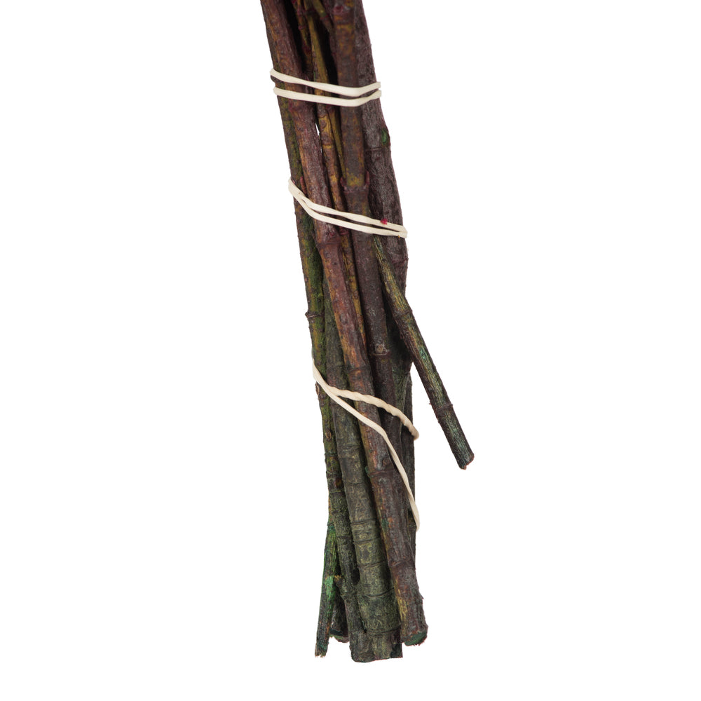 Vickerman 22-26" Merlot Grabia 5-6 oz Bundle Preserved