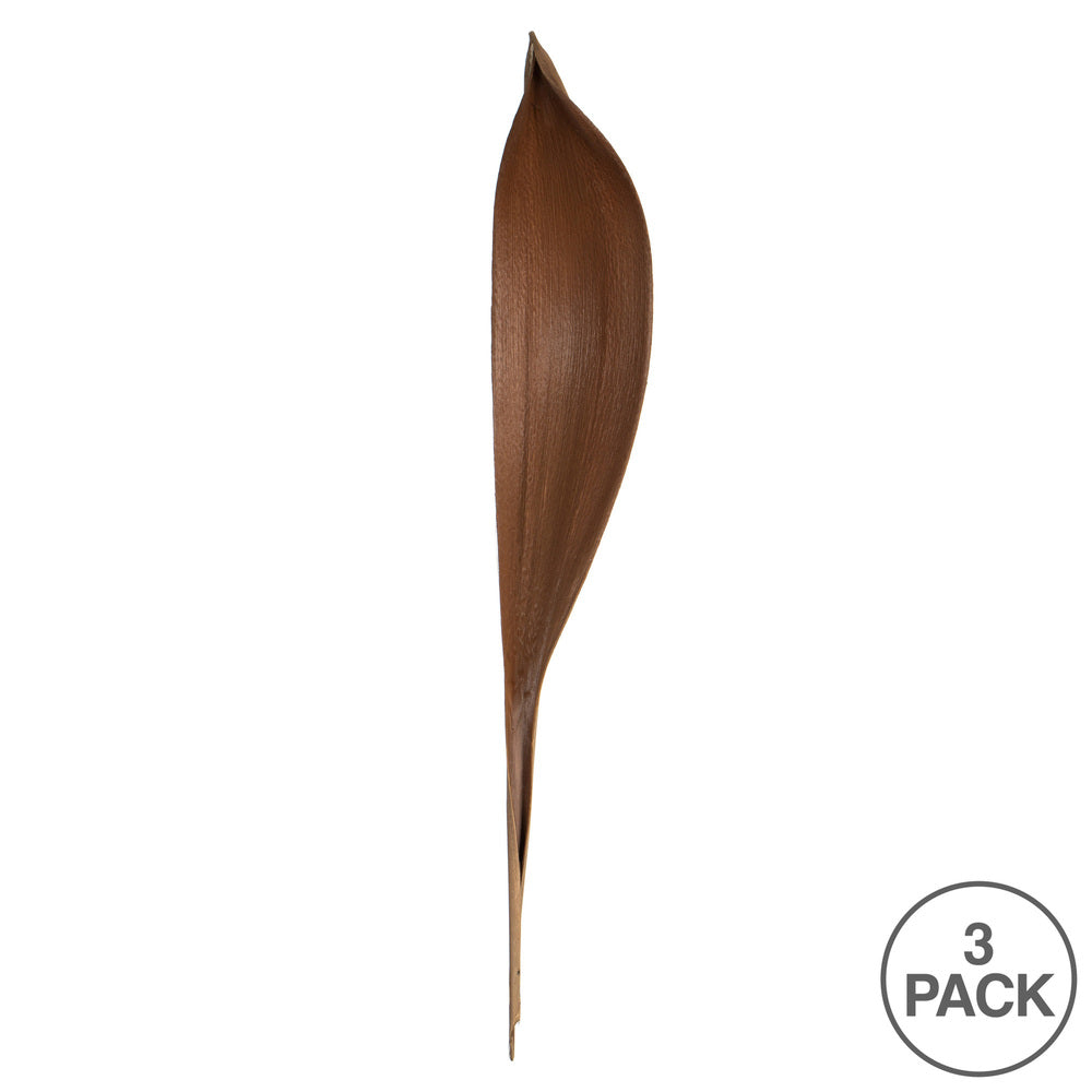 Vickerman 24-30" Natural Palm Paddle Set of 3 Dried